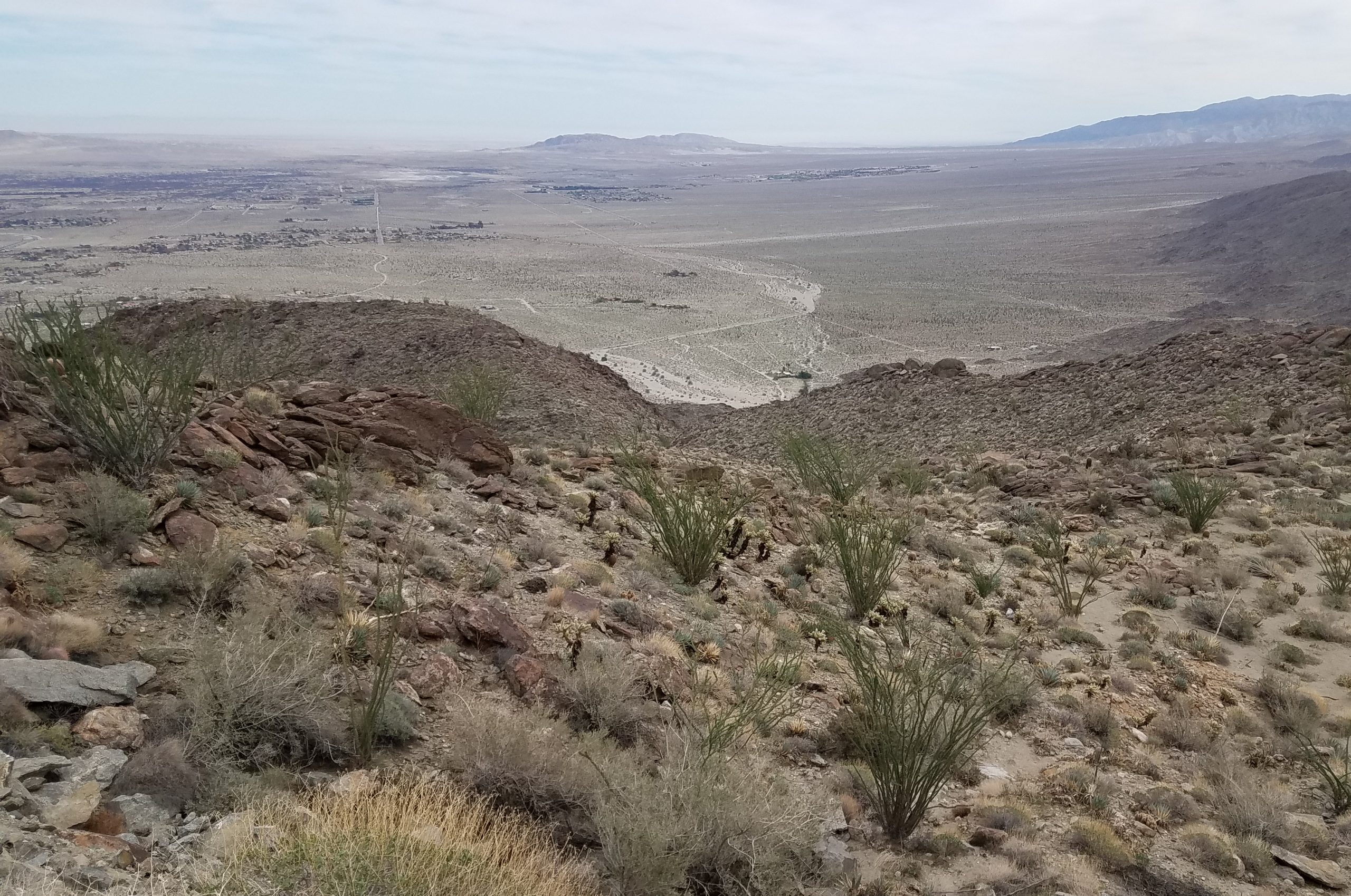Salton Sea, Borrego Springs, California WorldWide Matel
